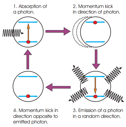 aborption1